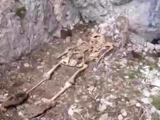 scheletro soldato dolomiti alpi