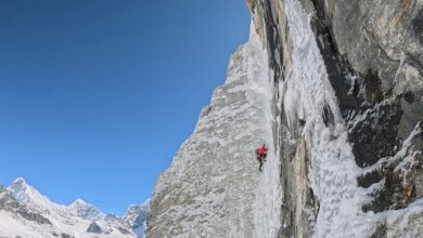 peak 41